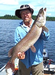 41.5-inch Trophy Northern Pike Fishing at Fireside Lodge Canada